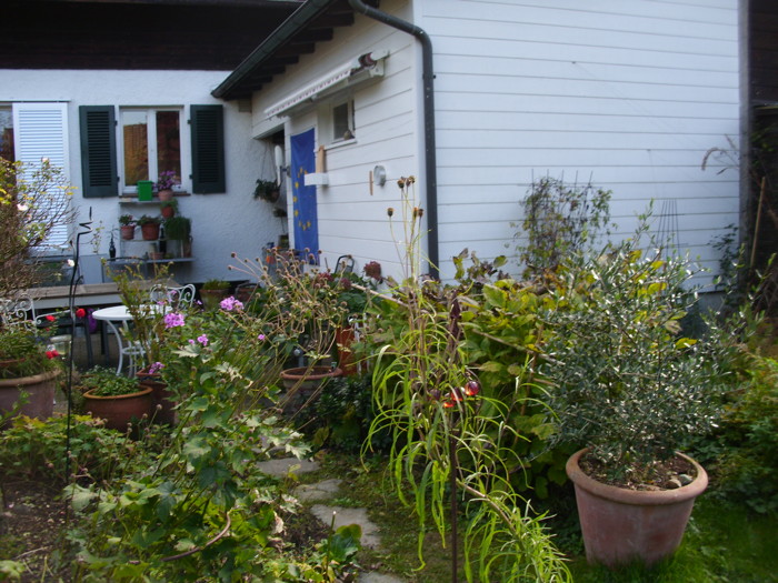 garten10.jpg