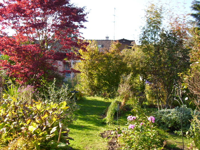 garten11.jpg