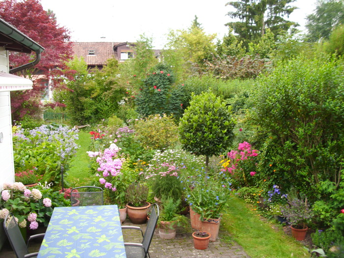 garten3.jpg