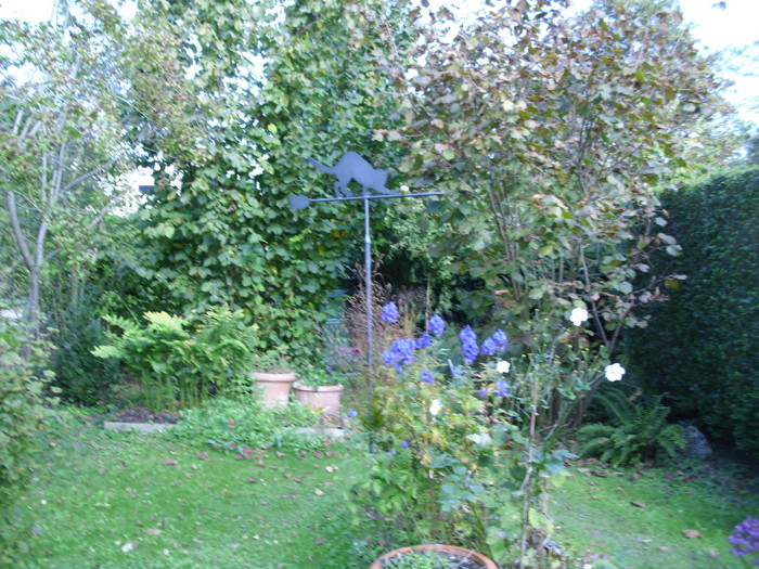 garten6.jpg