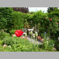 garten1.jpg