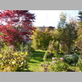 garten11.jpg