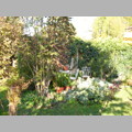 garten12.jpg